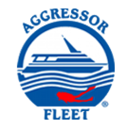 Agressor Fleet - Cruises Boat 